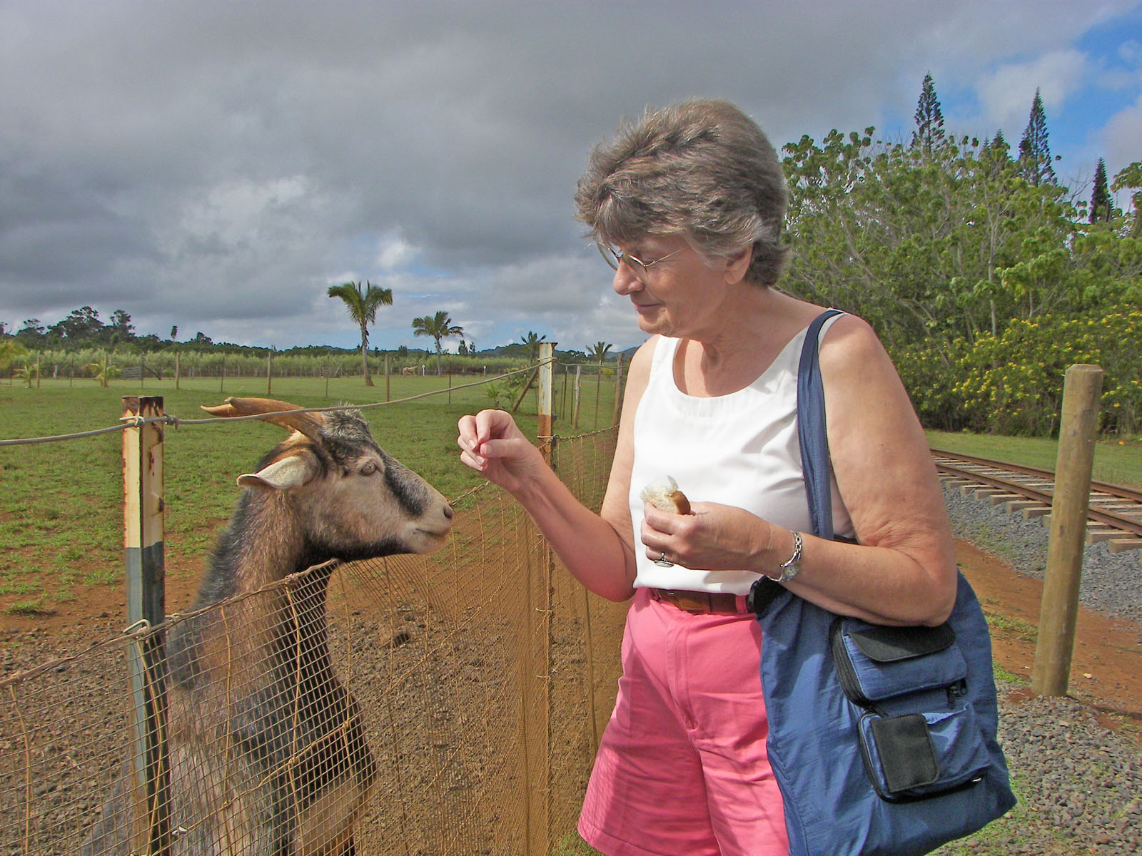 Mom feeding friendly goats at Kilohana