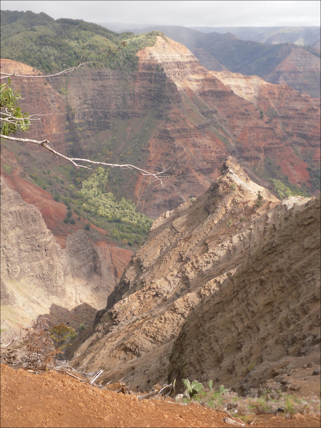 Views of Waimea canyon