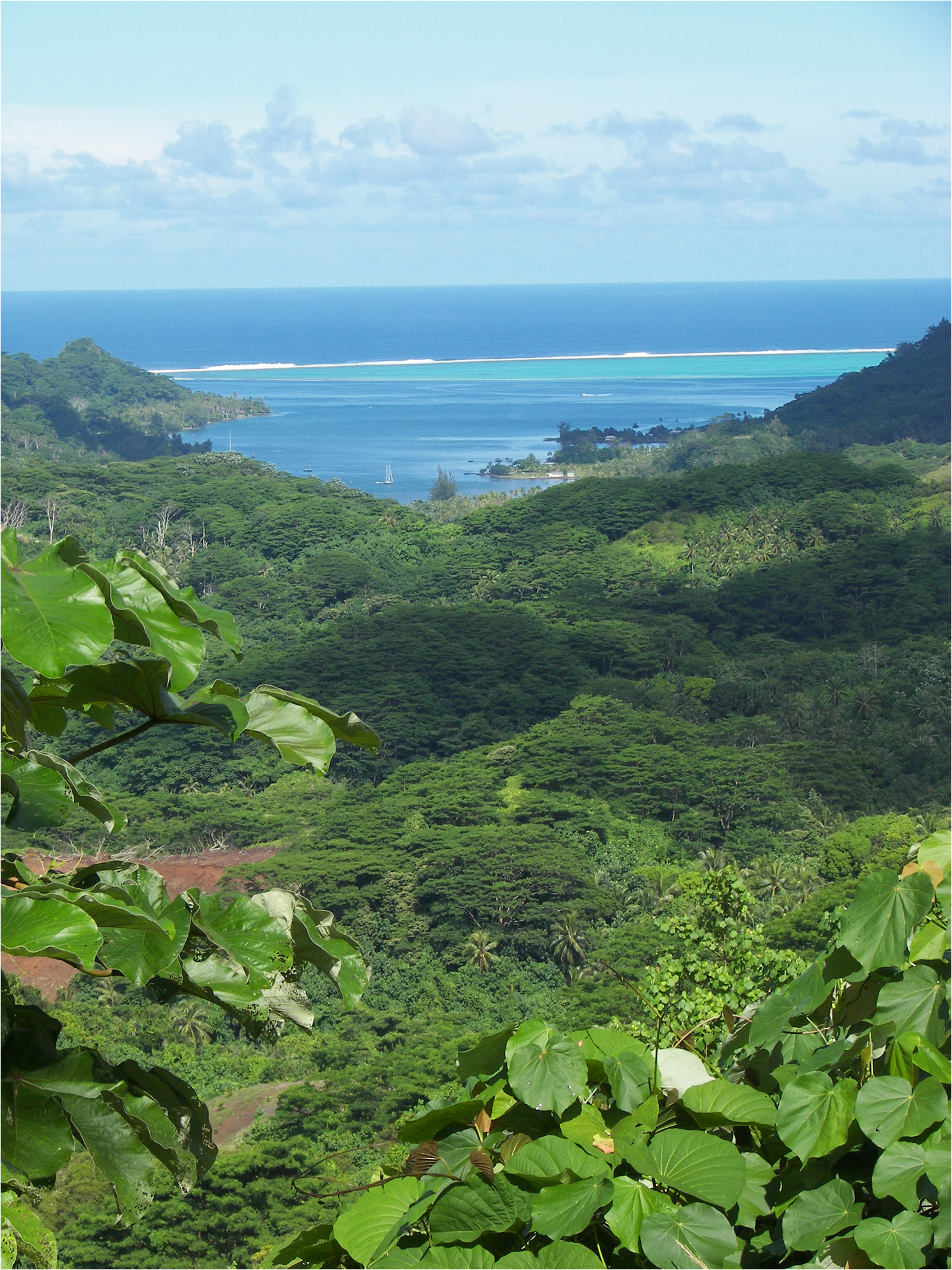 More scenic views from Tahha island tour