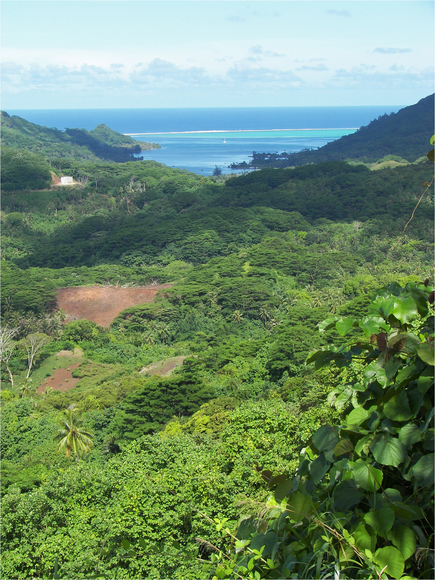 More scenic views from Tahha island tour