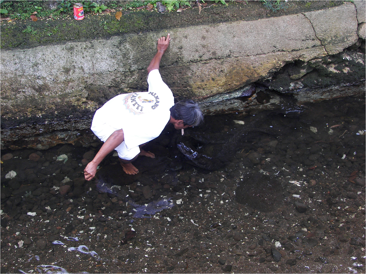 This was a stop on our Huahine tour to see the "sacred" Blue eyed eels.  They varied in length averaging  about 4 feet