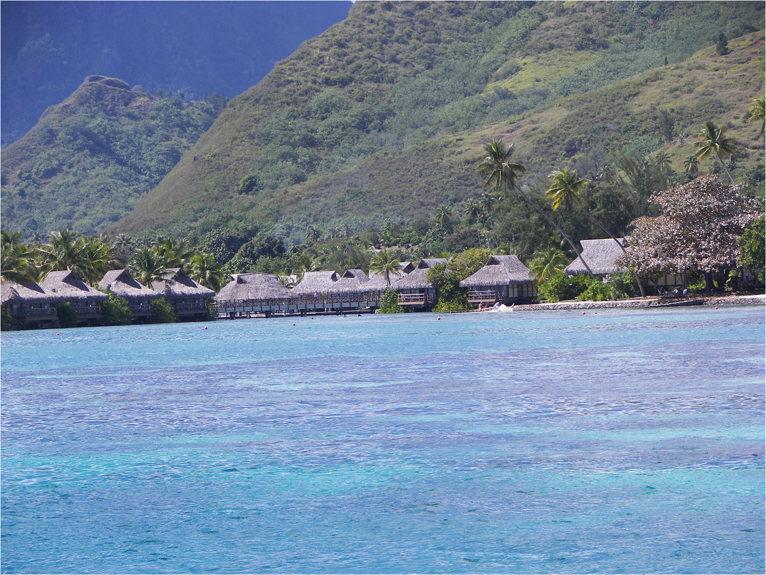 This is the Intercontinental Moorea resort where we stayed 10 years ago.
