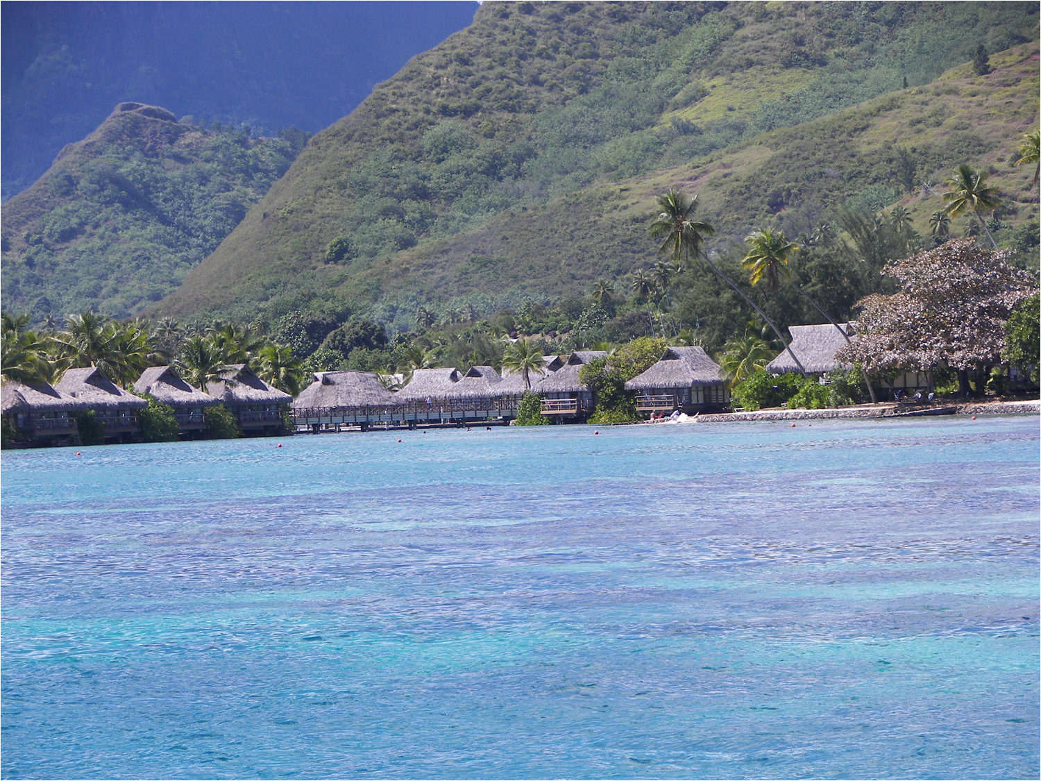 This is the Intercontinental Moorea resort where we stayed 10 years ago.