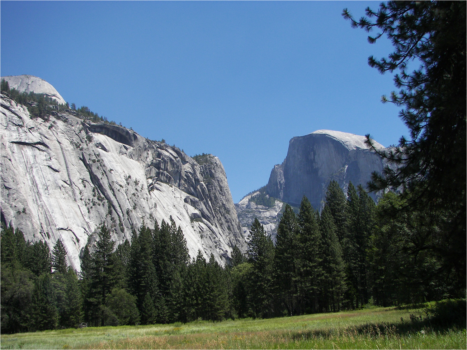 View of Half Dome from Yosemite Valley