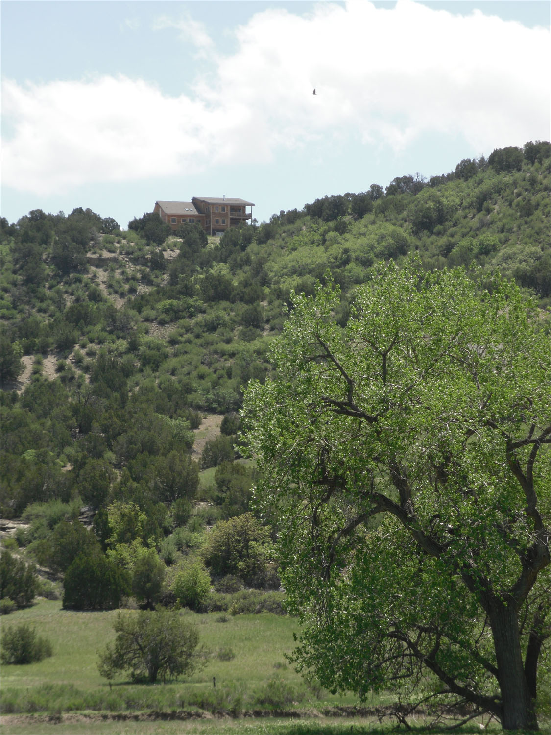 Pat & Terry's house at the Lazy S Ranch in CO-from the bottom of the acreage