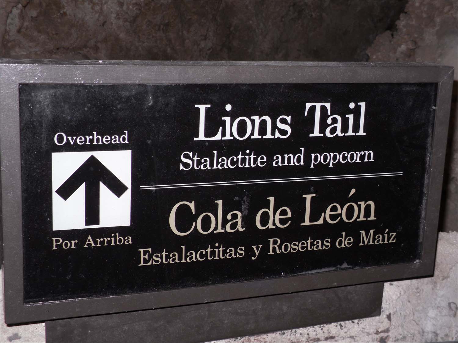 Carlsbad Caverns, NM-Lions Tail formations