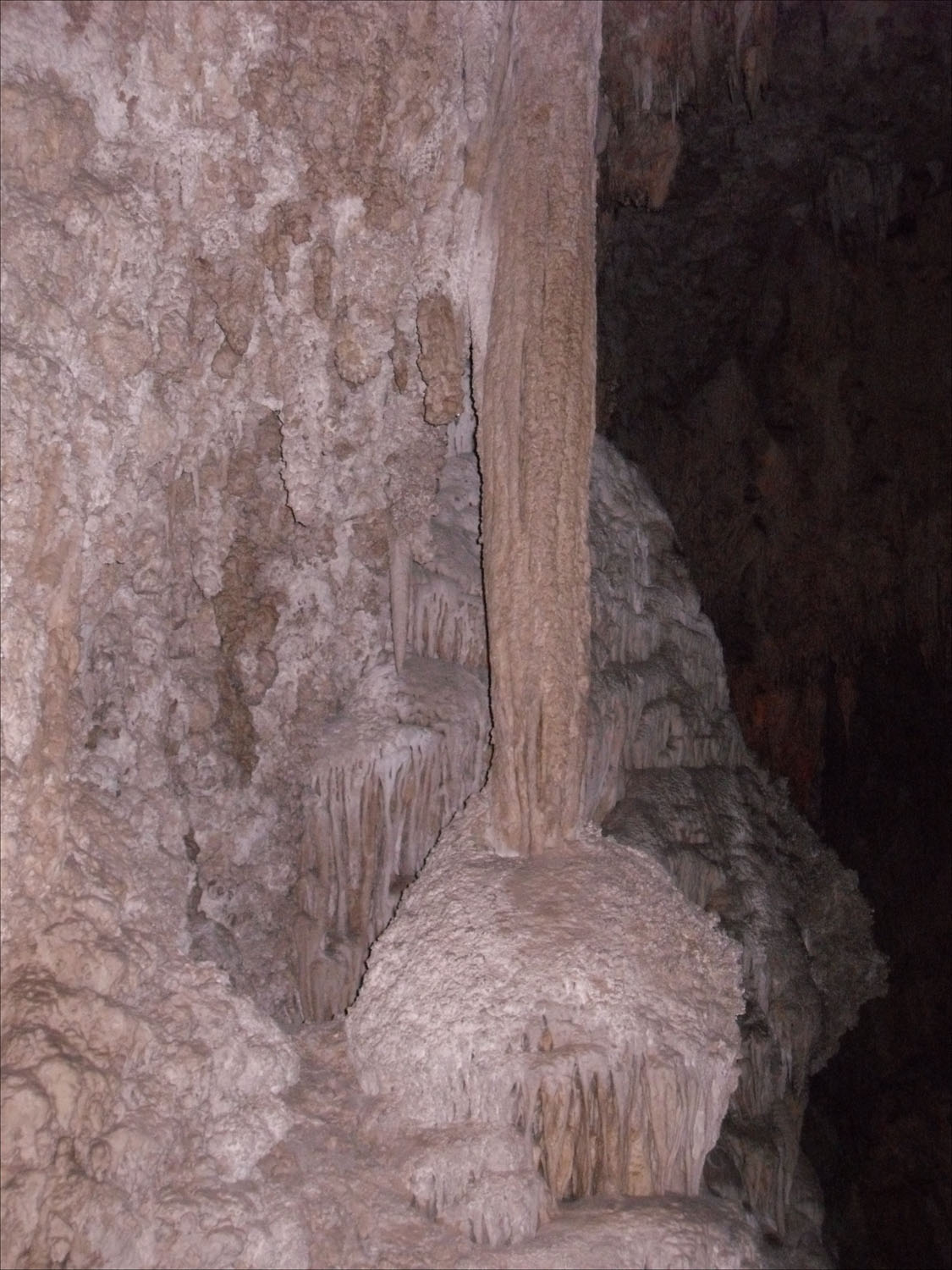 Carlsbad Caverns, NM-Lions Tail formations