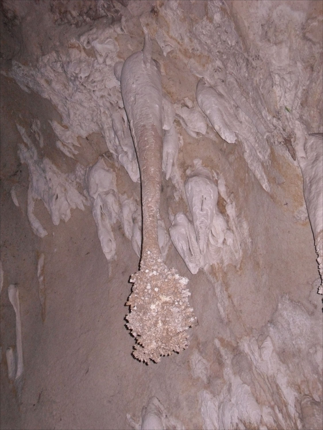 Carlsbad Caverns, NM-Lions Tail formations