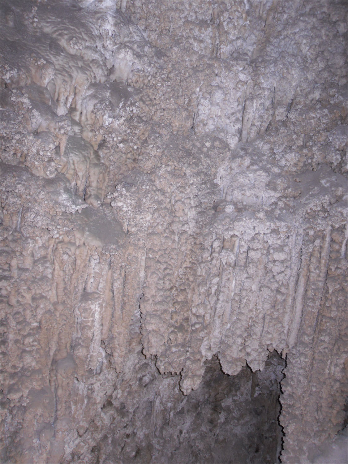 Carlsbad Caverns, NM