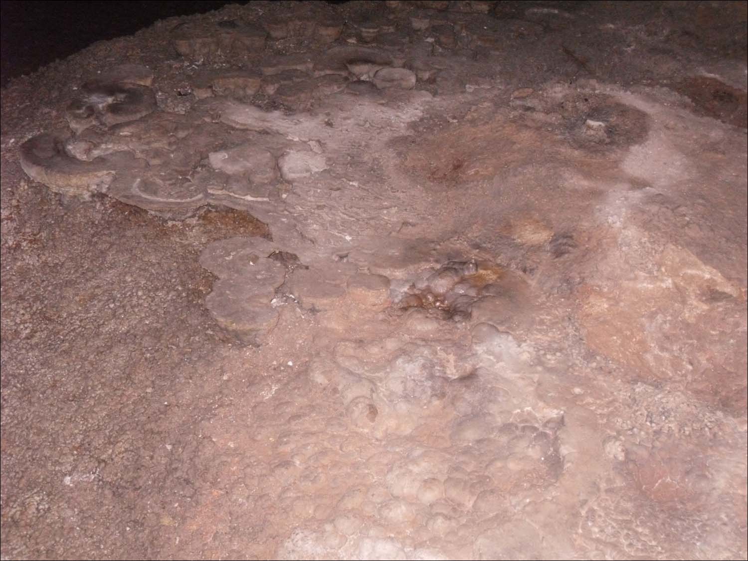 Carlsbad Caverns, NM-floor formations