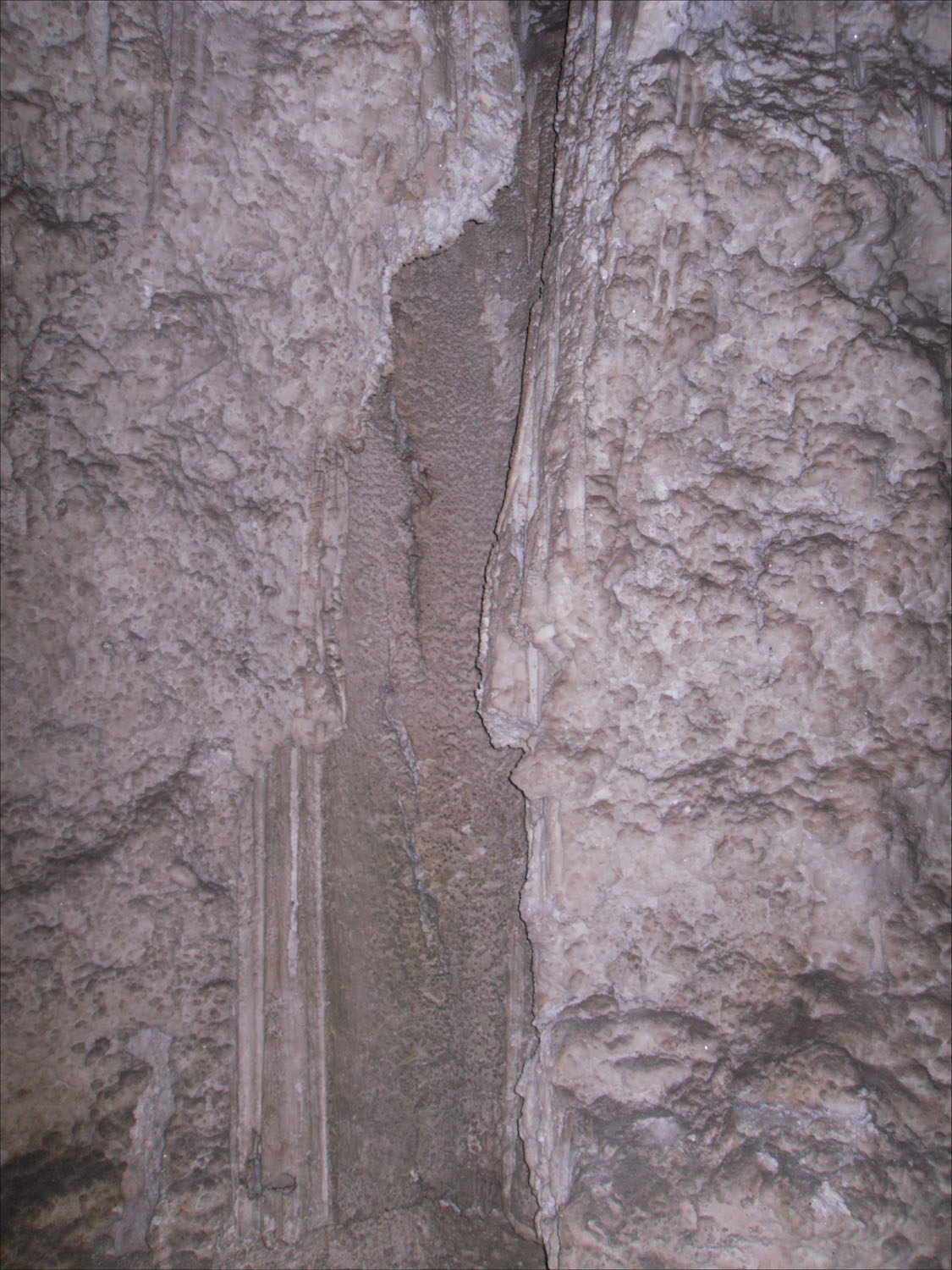 Carlsbad Caverns, NM-wall of massive gypsum