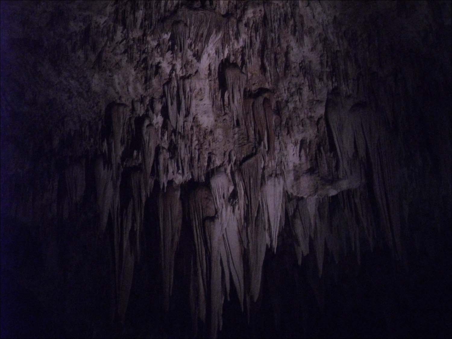Carlsbad Caverns, NM-ceiling formations including Cathedral