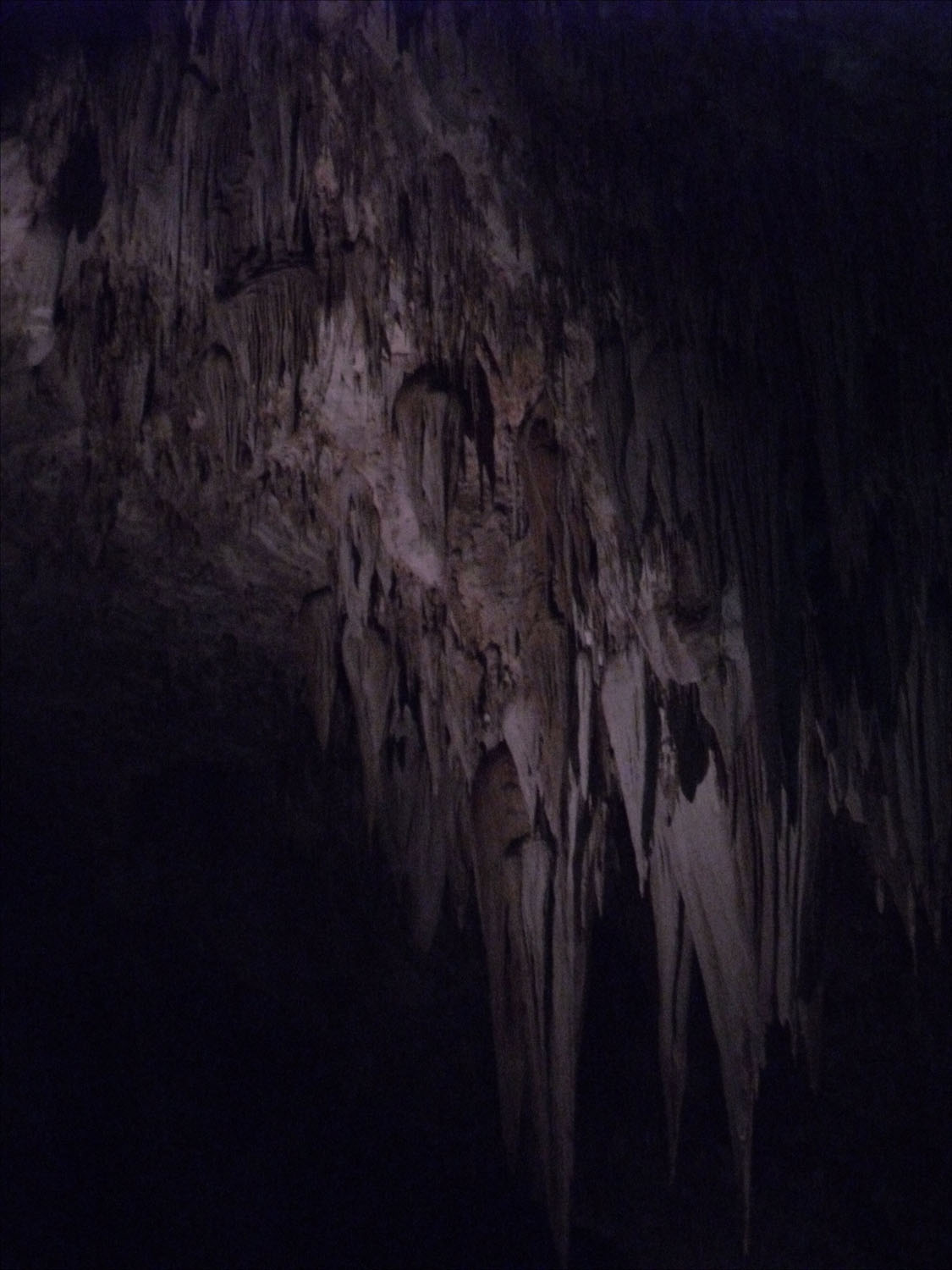 Carlsbad Caverns, NM-ceiling formations including Cathedral