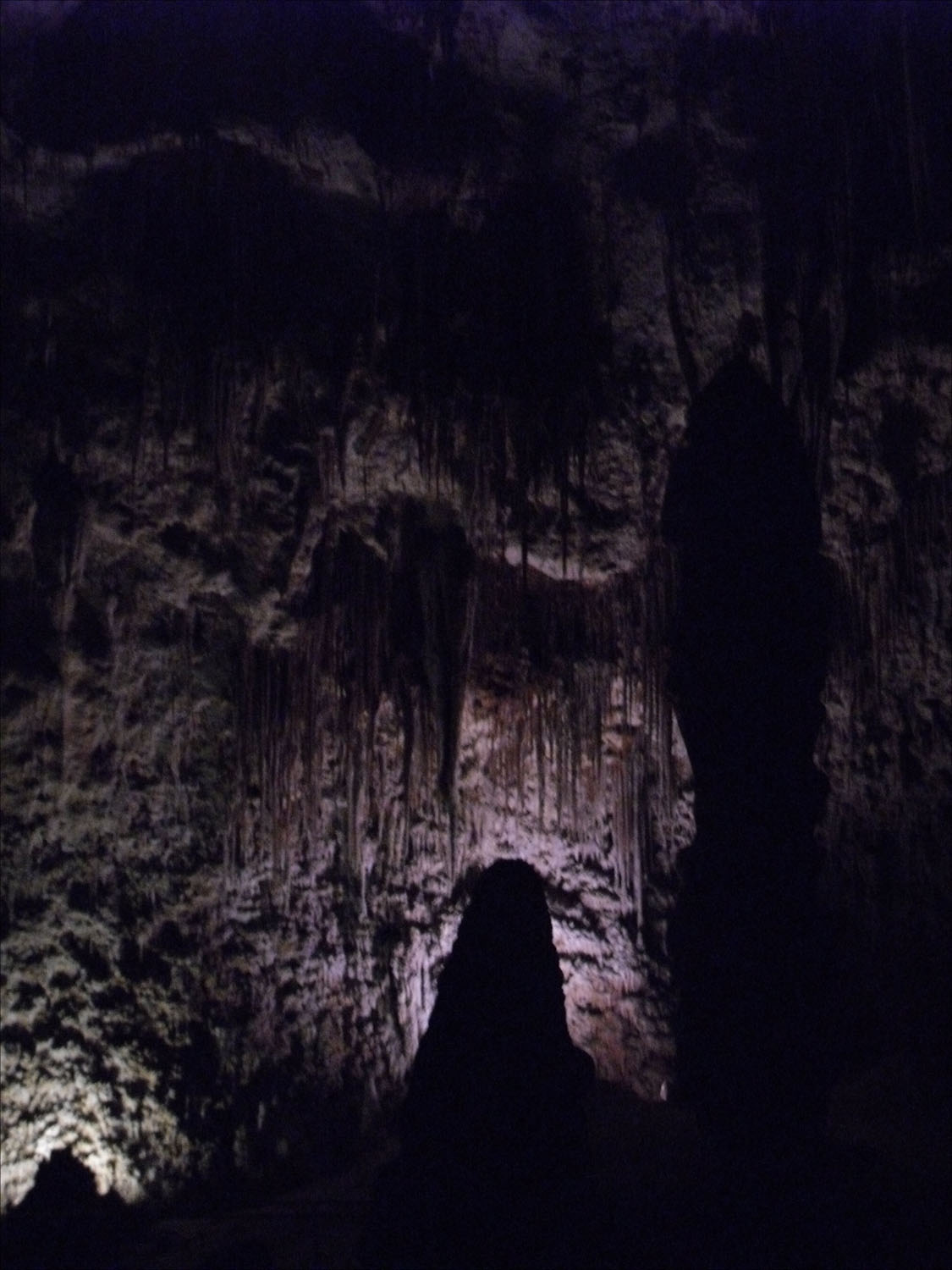 Carlsbad Caverns, NM-ceiling formations including Cathedral