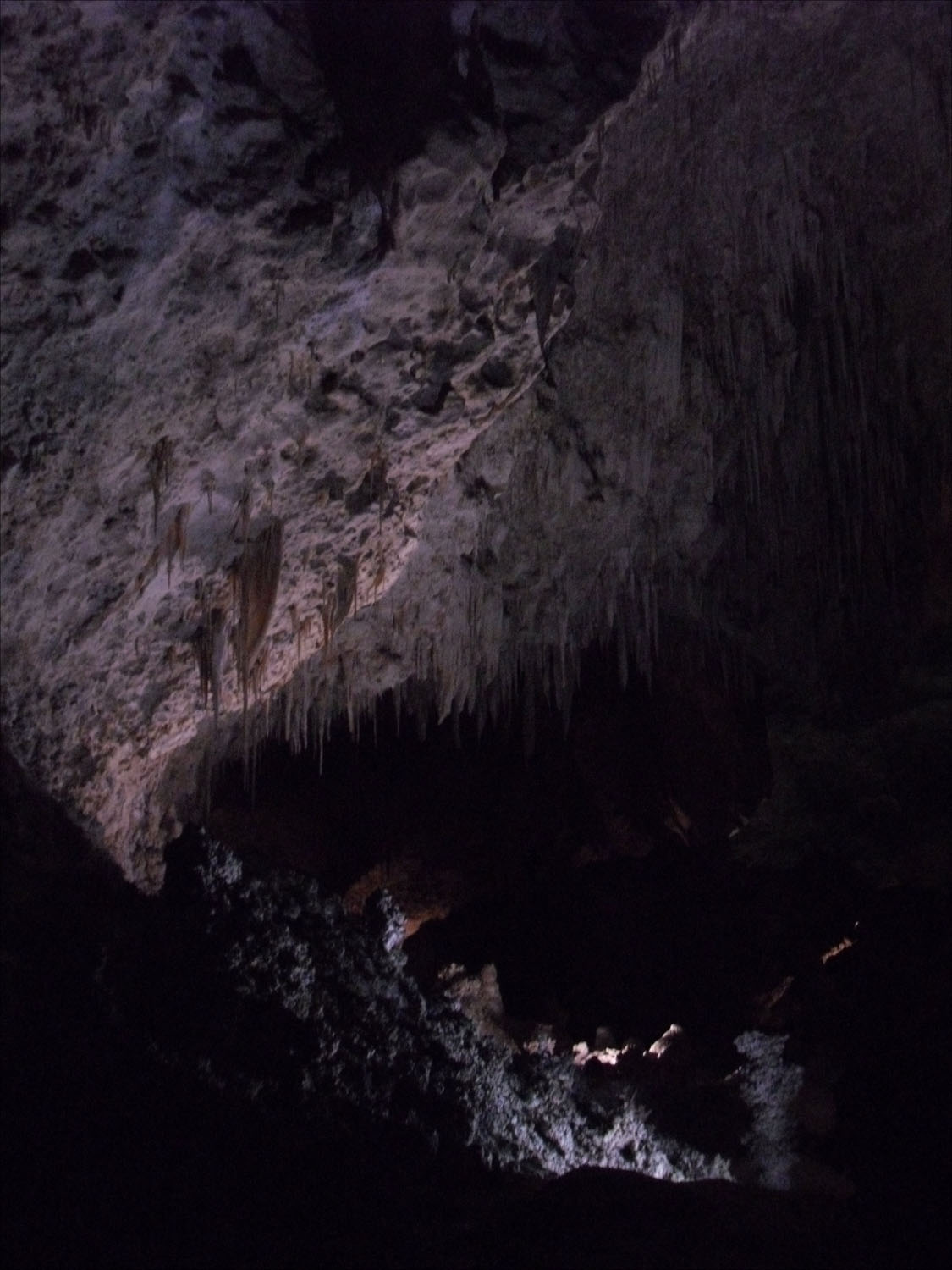 Carlsbad Caverns, NM