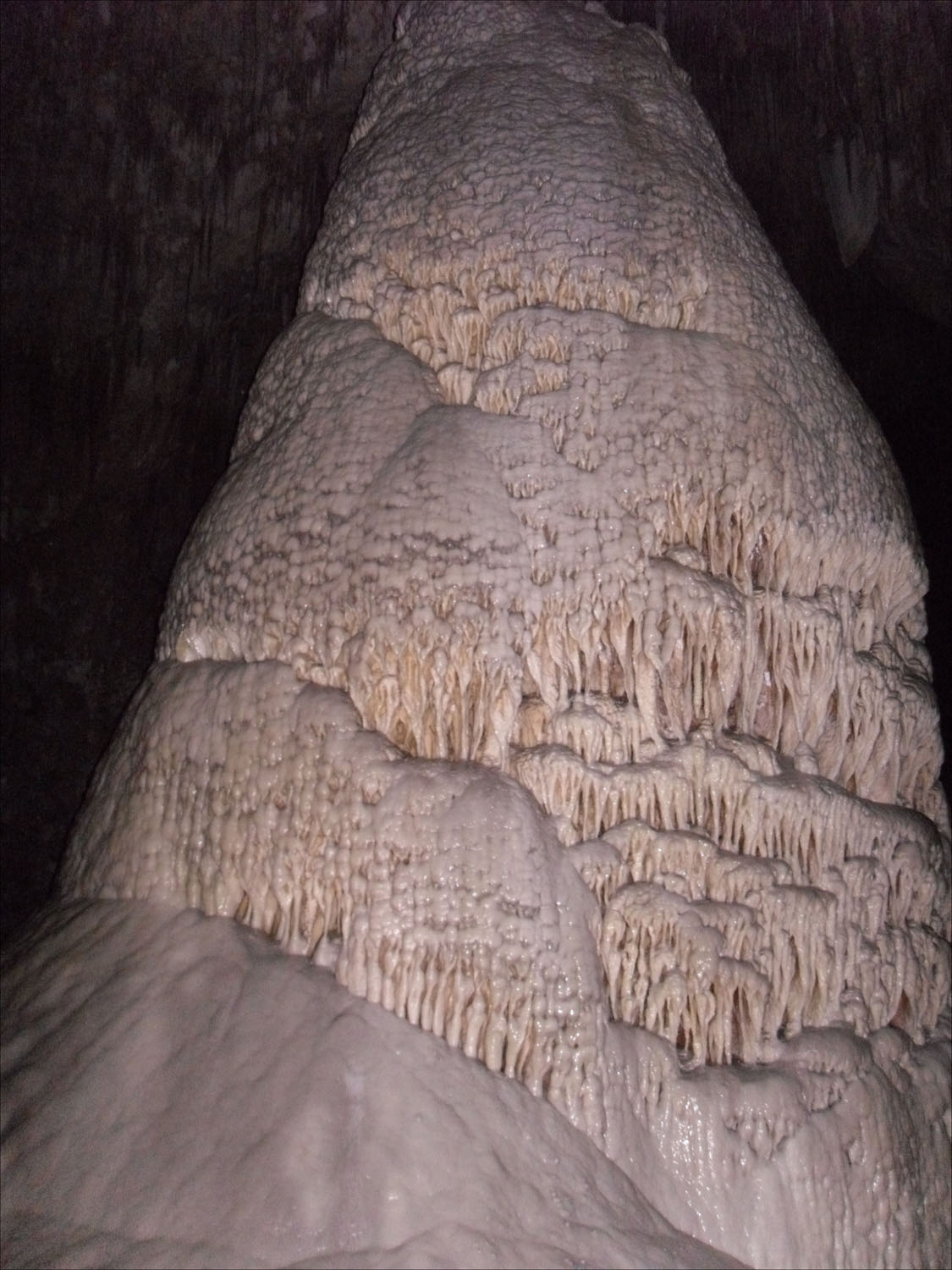 Carlsbad Caverns, NM