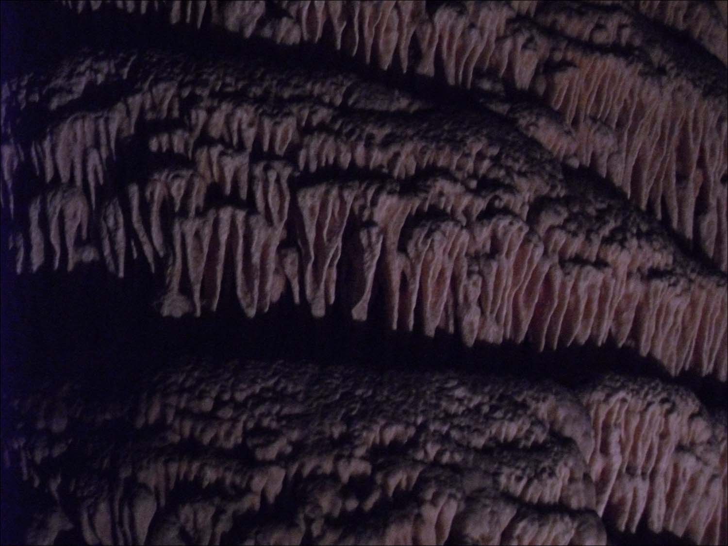 Carlsbad Caverns, NM-Rock of Ages closeup