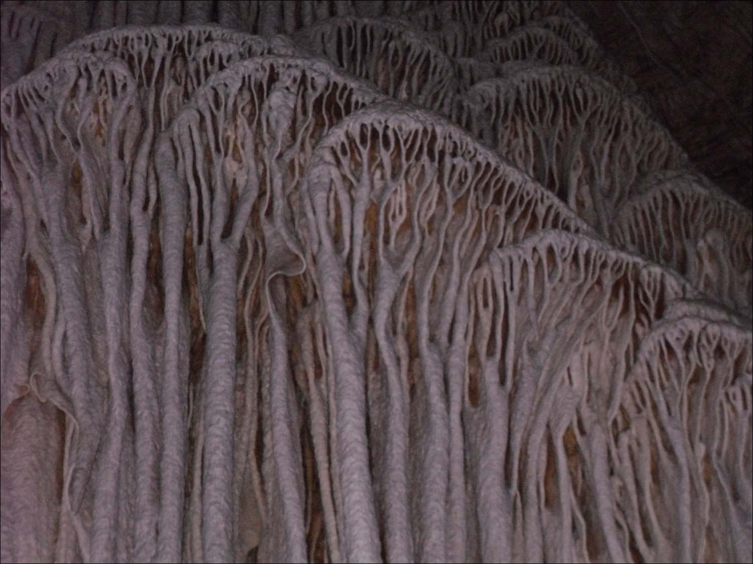 Carlsbad Caverns, NM-large drapery formation on wall