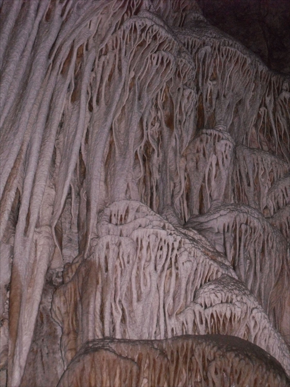 Carlsbad Caverns, NM-large drapery formation on wall