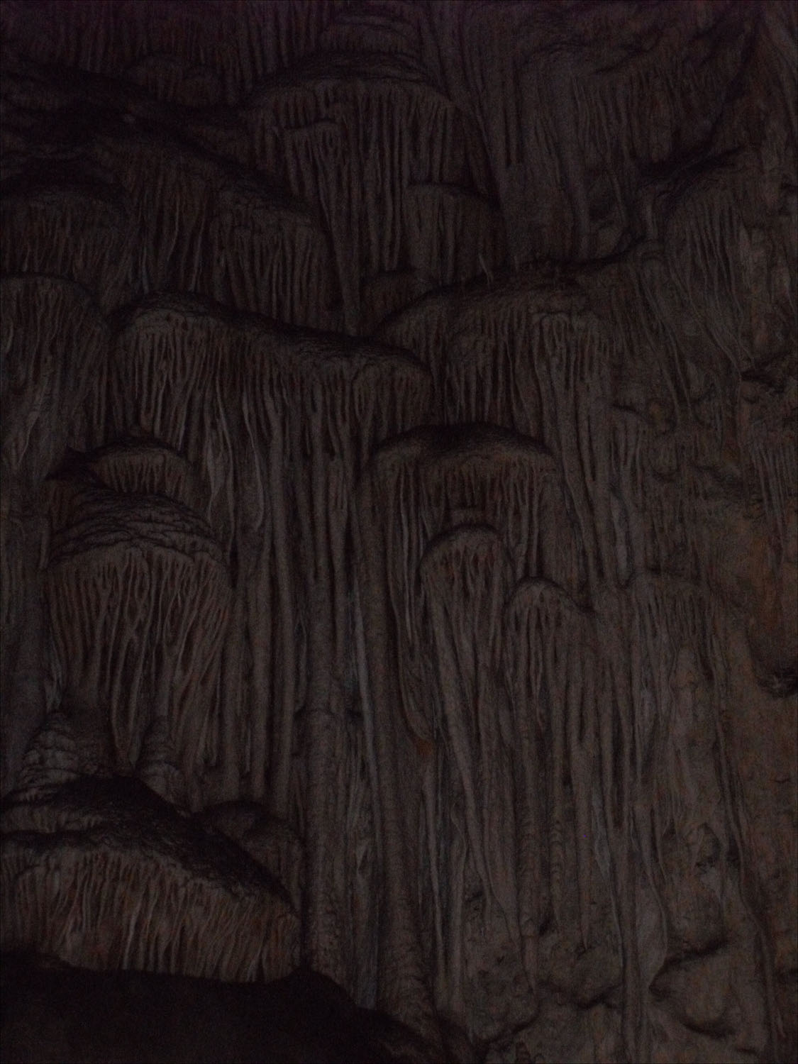 Carlsbad Caverns, NM-large drapery formation on wall