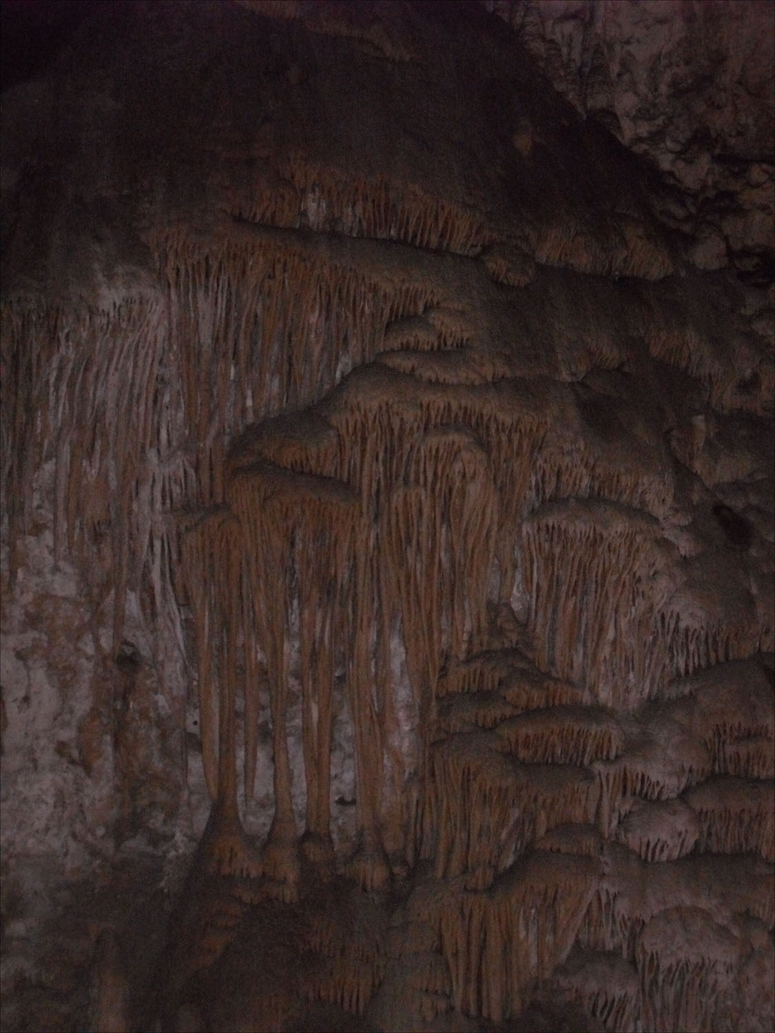 Carlsbad Caverns, NM-large drapery formation on wall