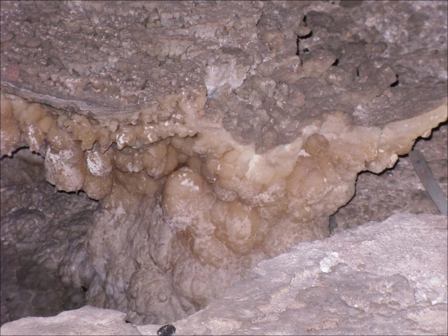 Carlsbad Caverns, NM