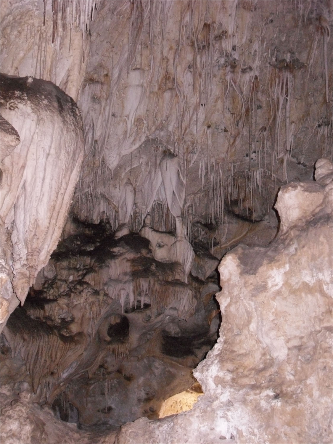 Carlsbad Caverns, NM