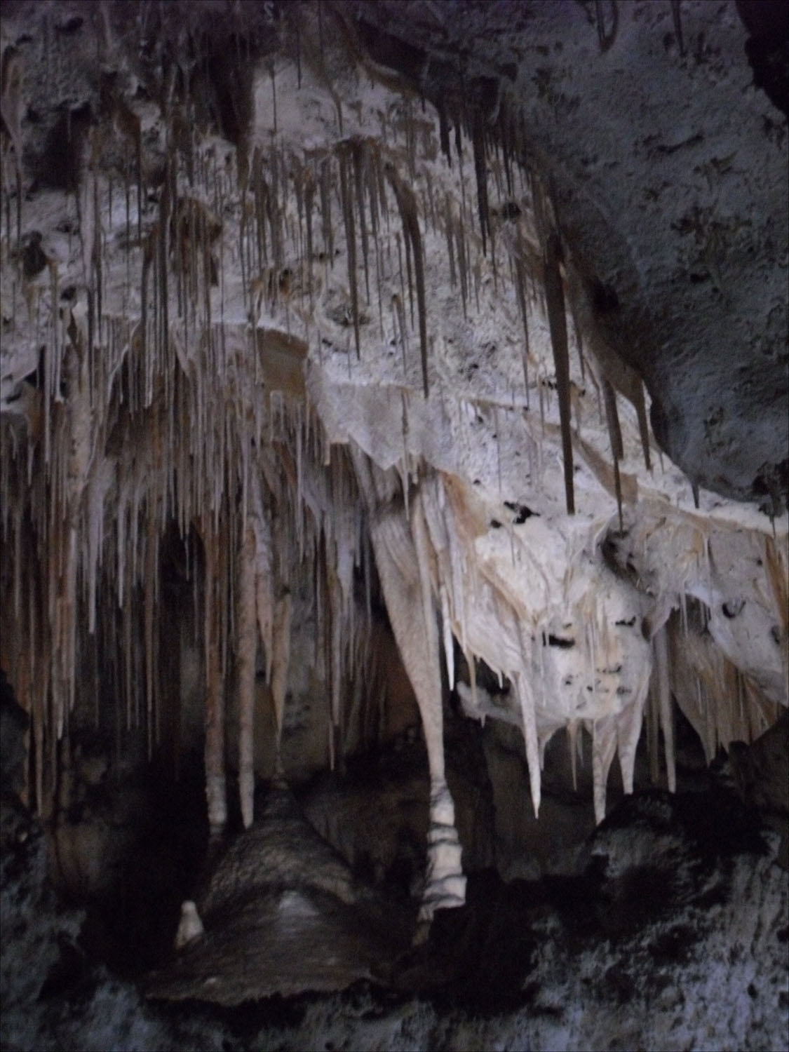 Carlsbad Caverns, NM-miniature cave, about 5 ft high