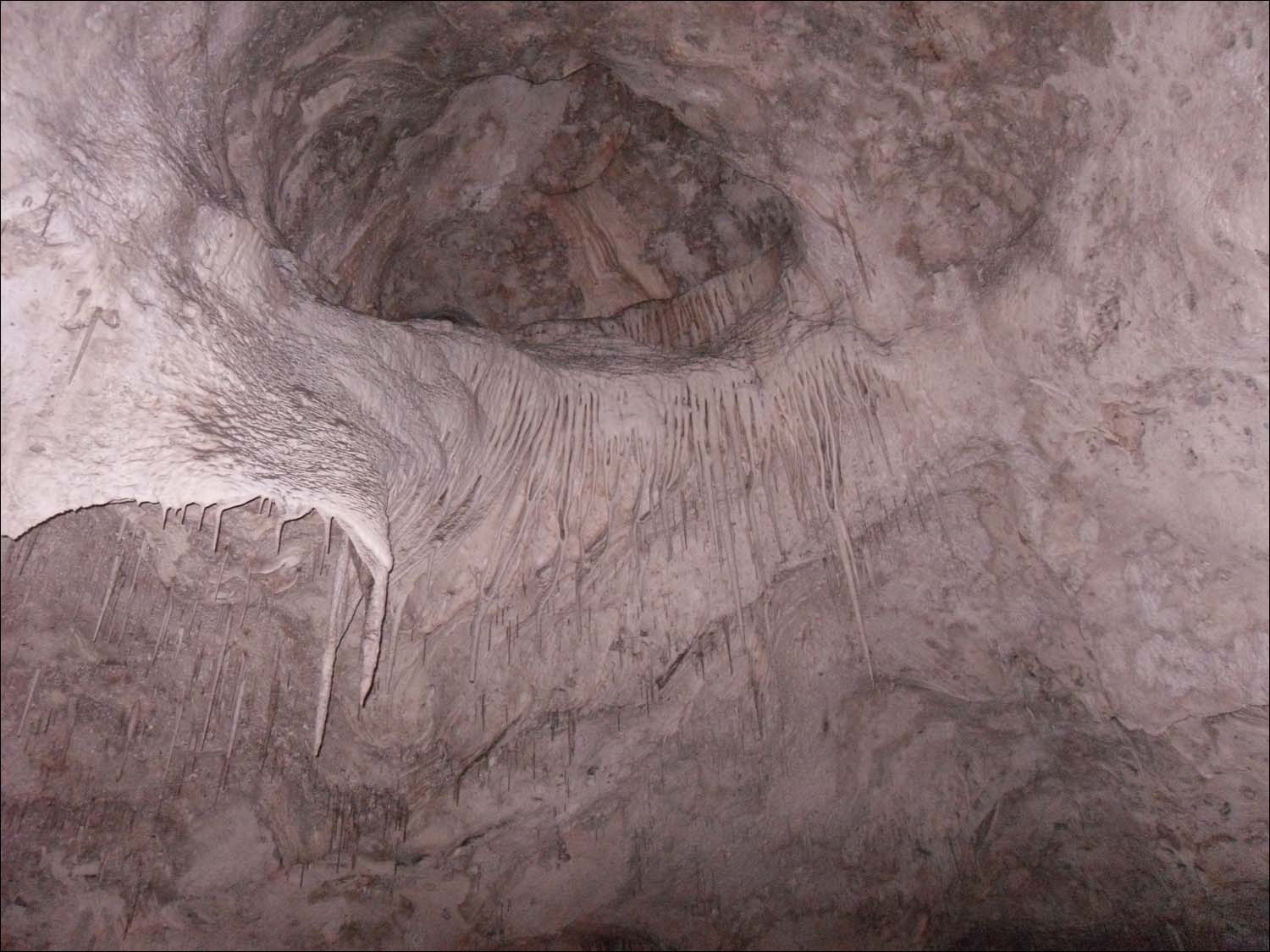 Carlsbad Caverns, NM-ceiling formation