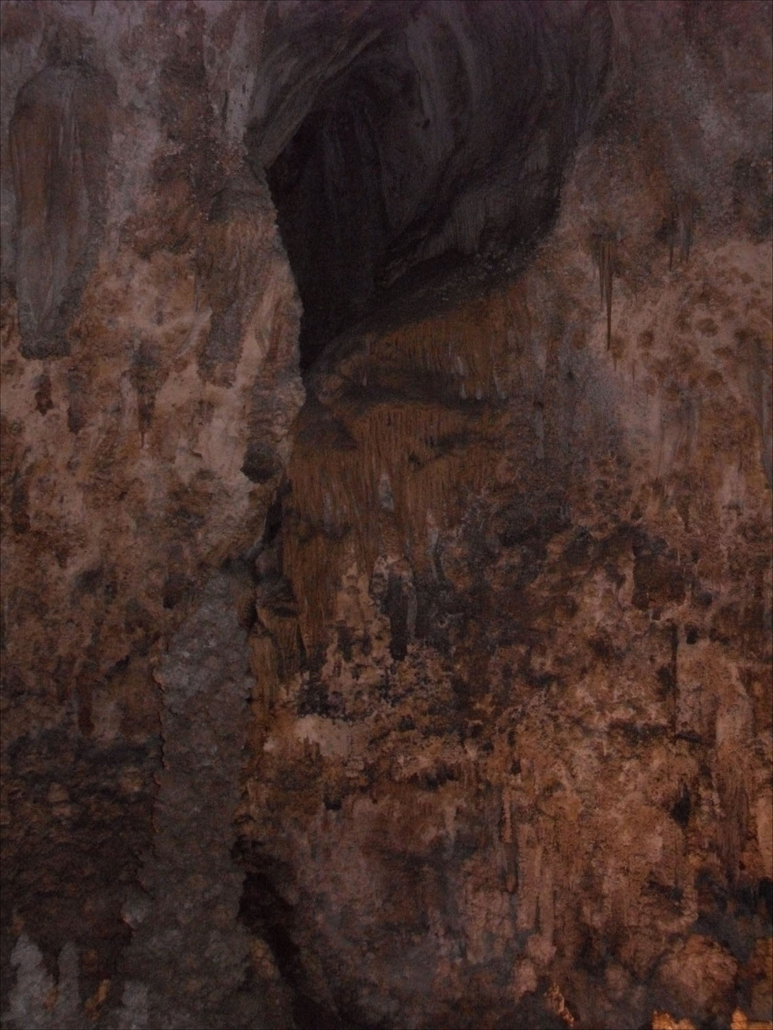 Carlsbad Caverns, NM