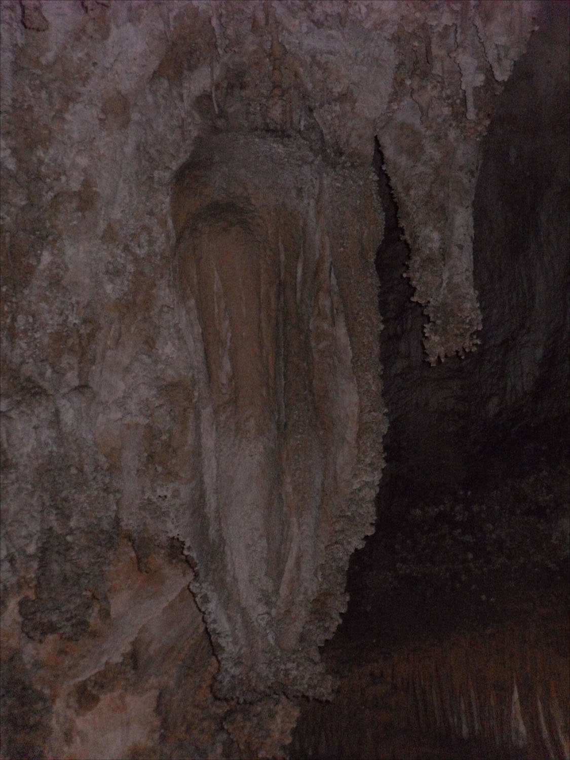 Carlsbad Caverns, NM