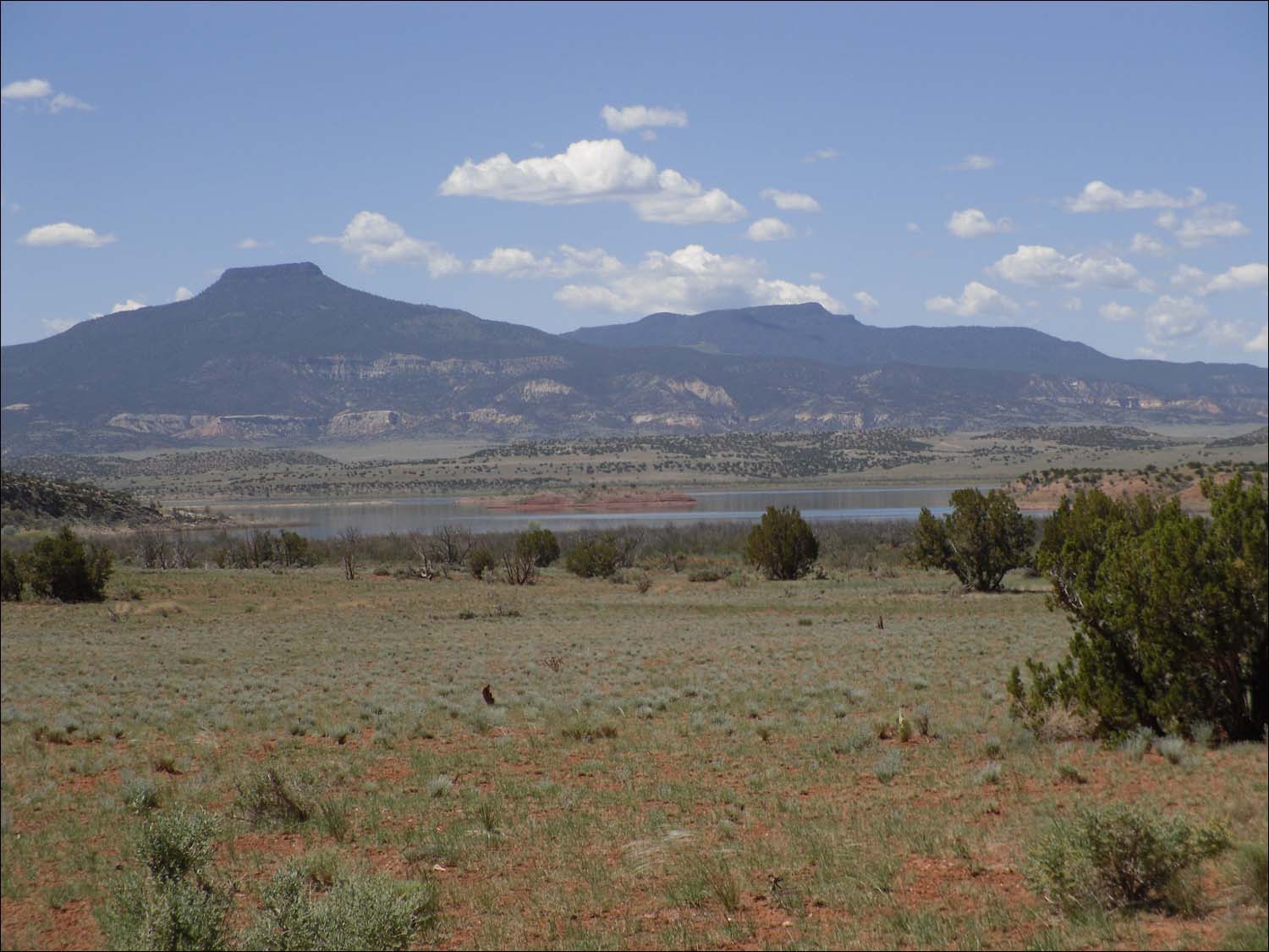 New Mexico rock formations