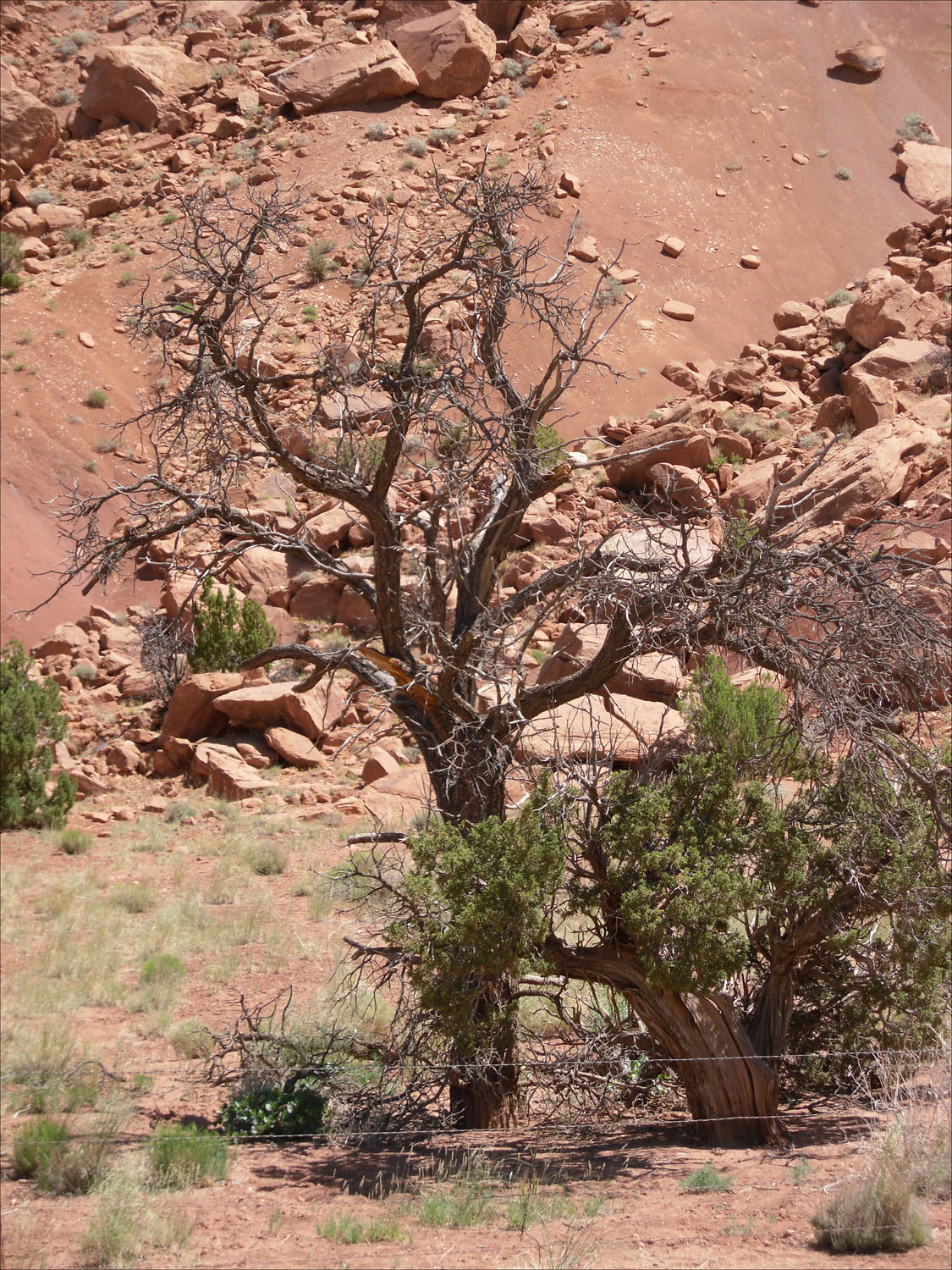 New Mexico rock formations