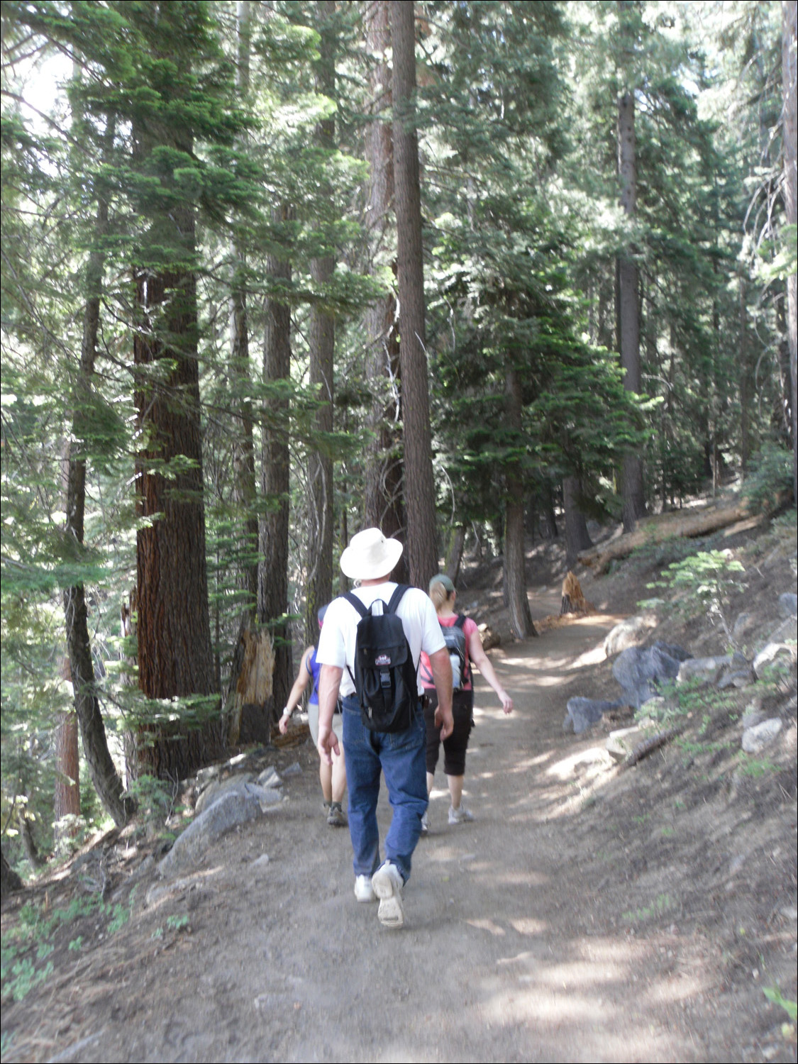 Hike up to Glacier Point-The group