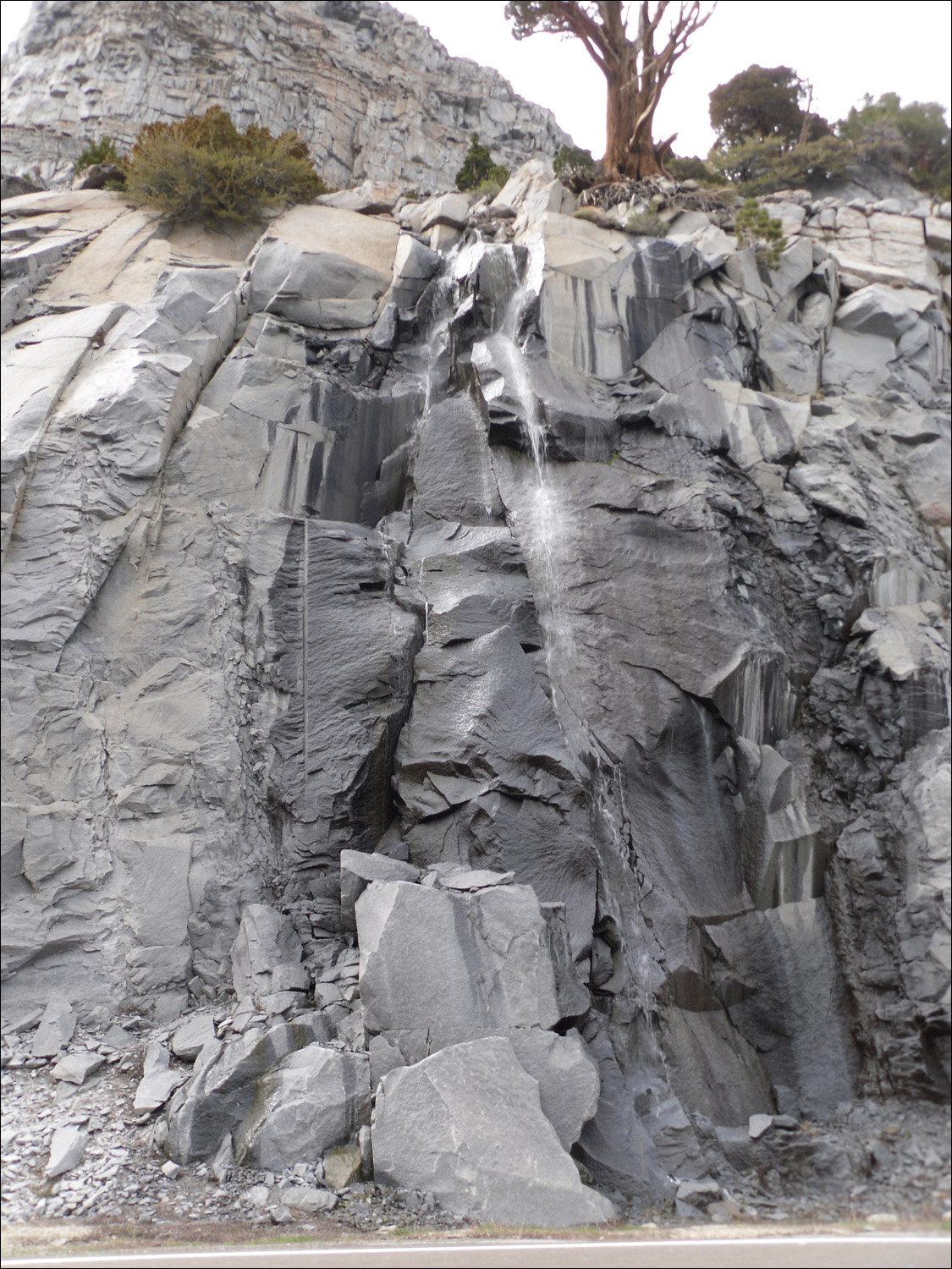 Views of the Lee Vining canyon from Highway 120