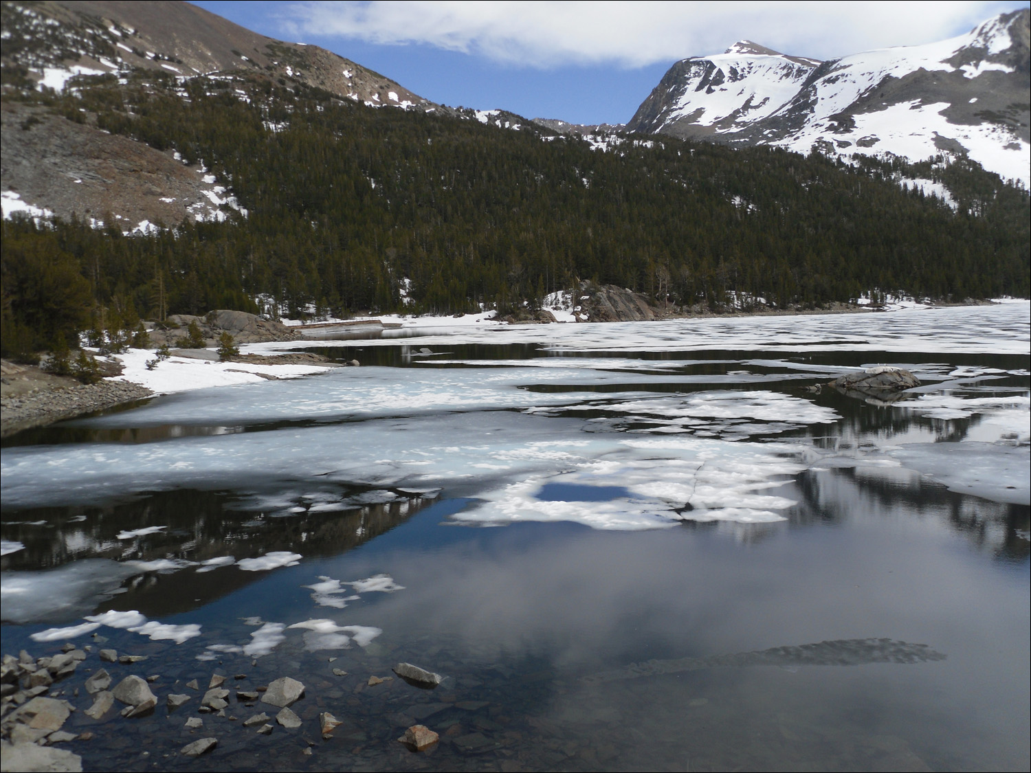 Views of Tioga Lake