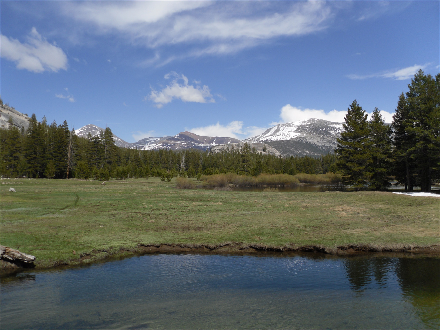 Tuolumne meadow/river