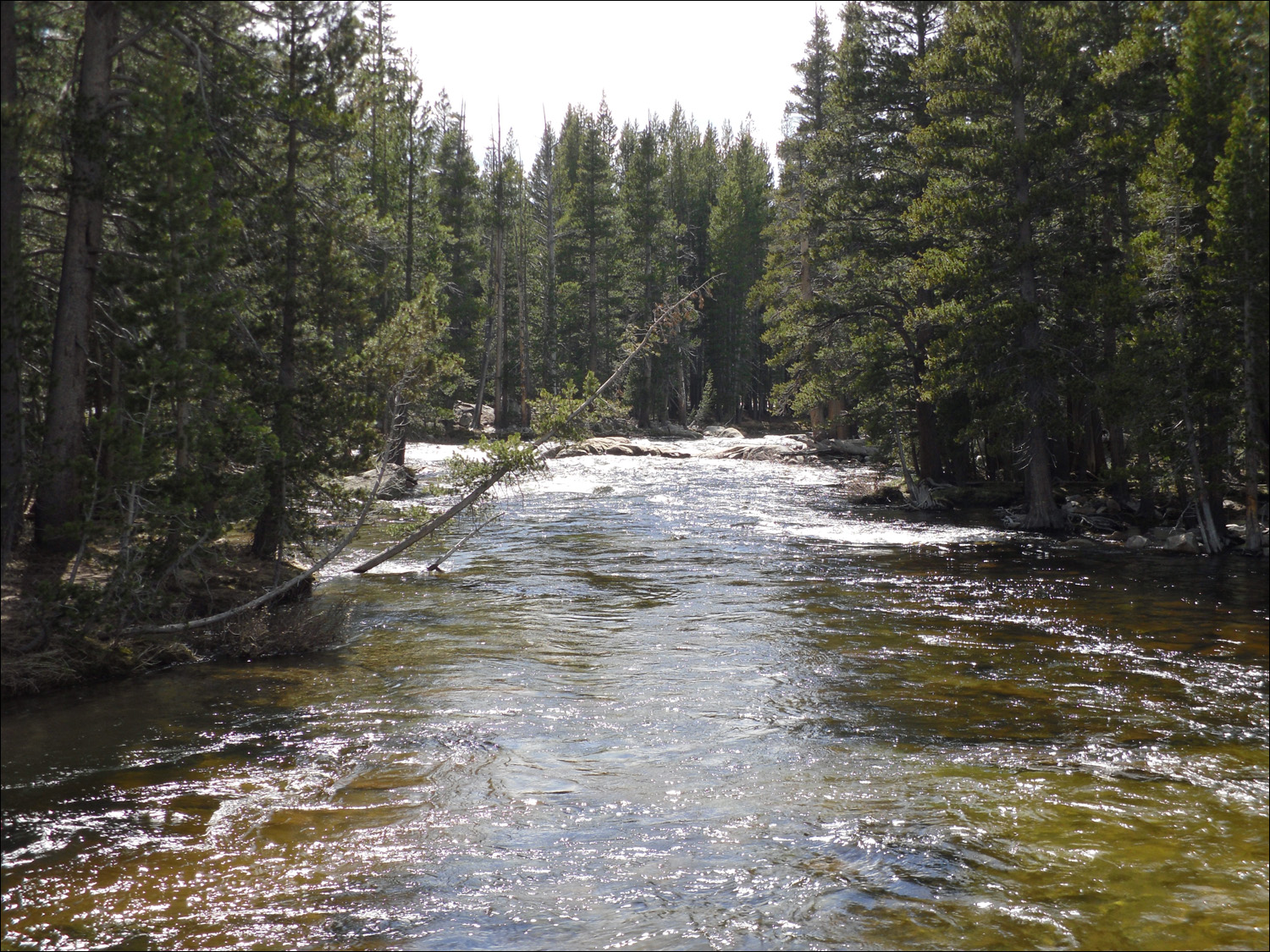 Tuolumne River