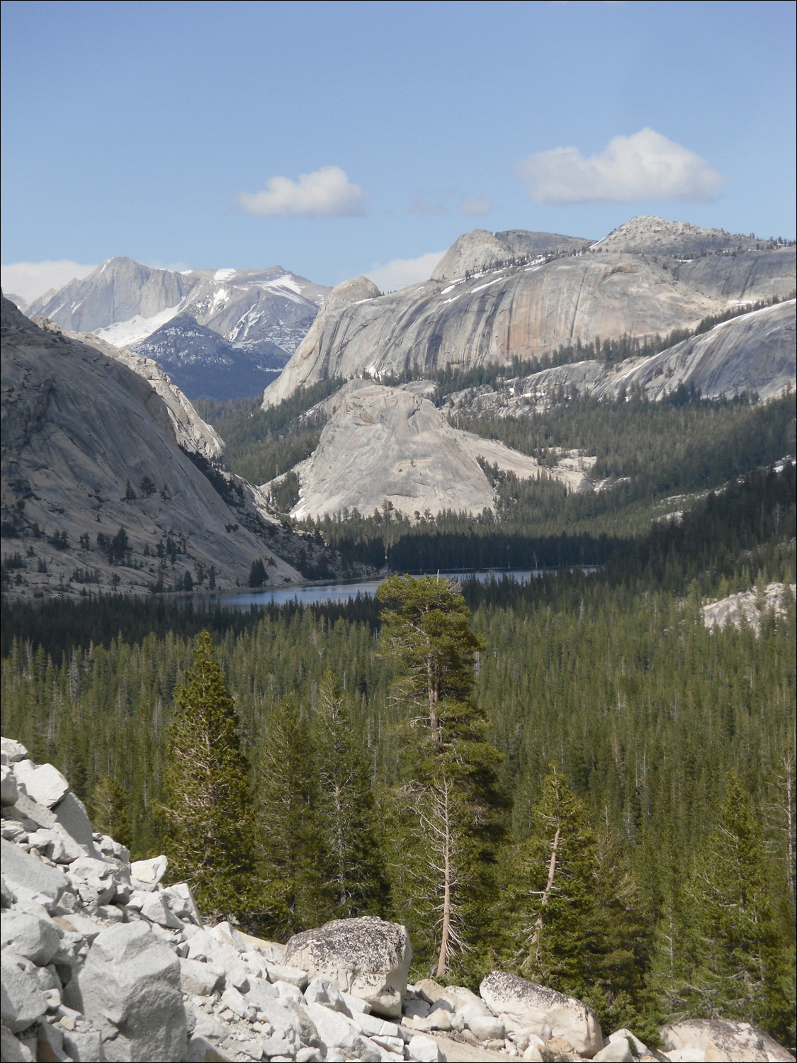 Tenaya Lake