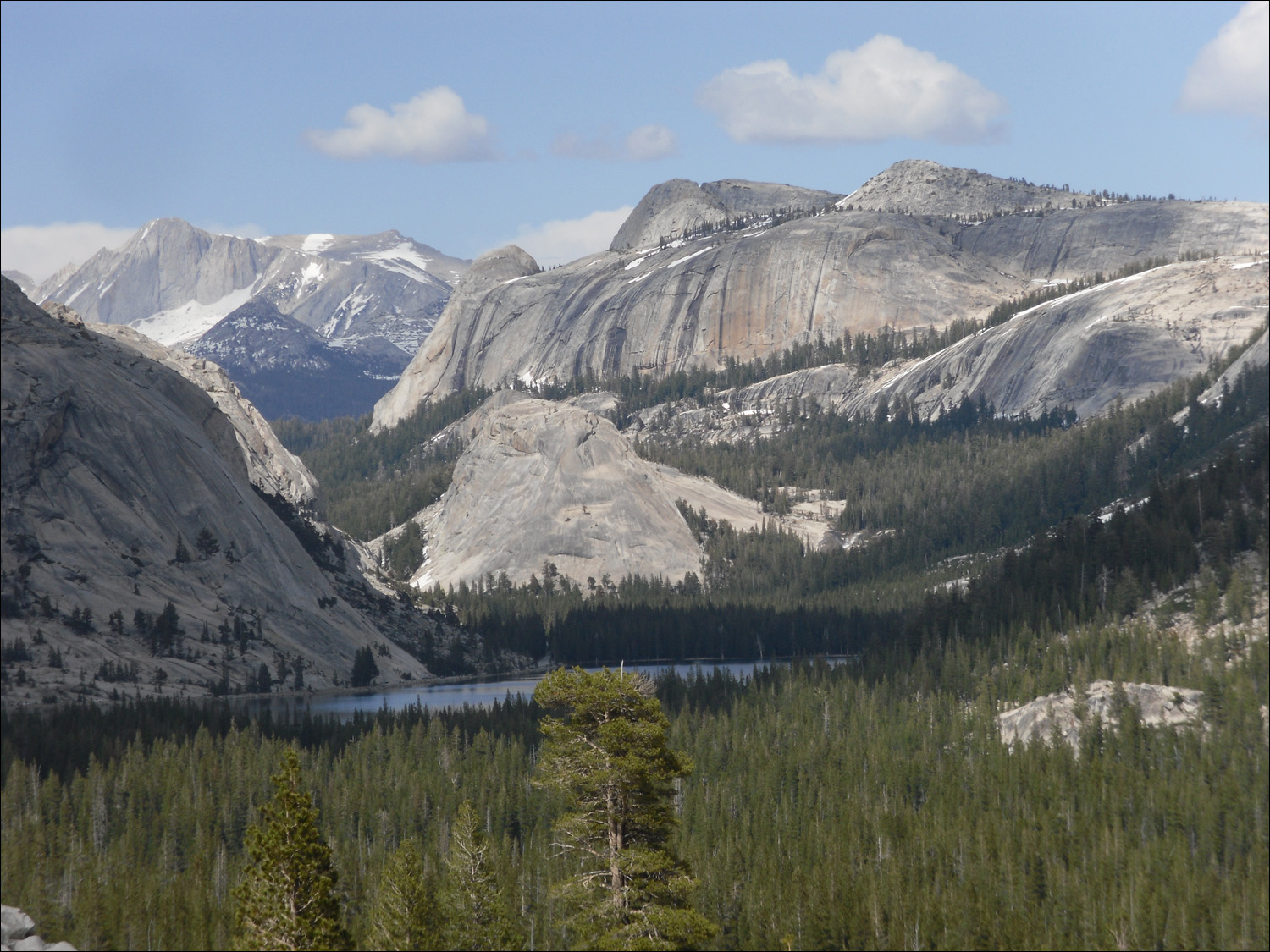 Tenaya Lake