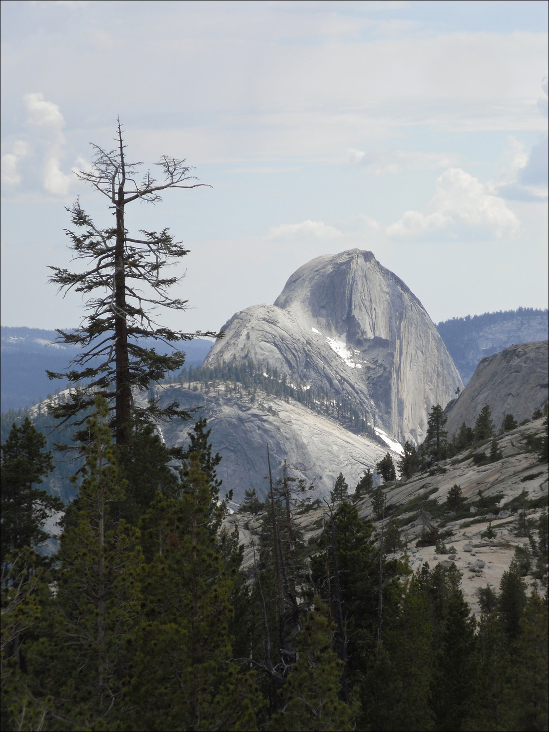 View of Half Dome from 120 just west of Tenaya Lake