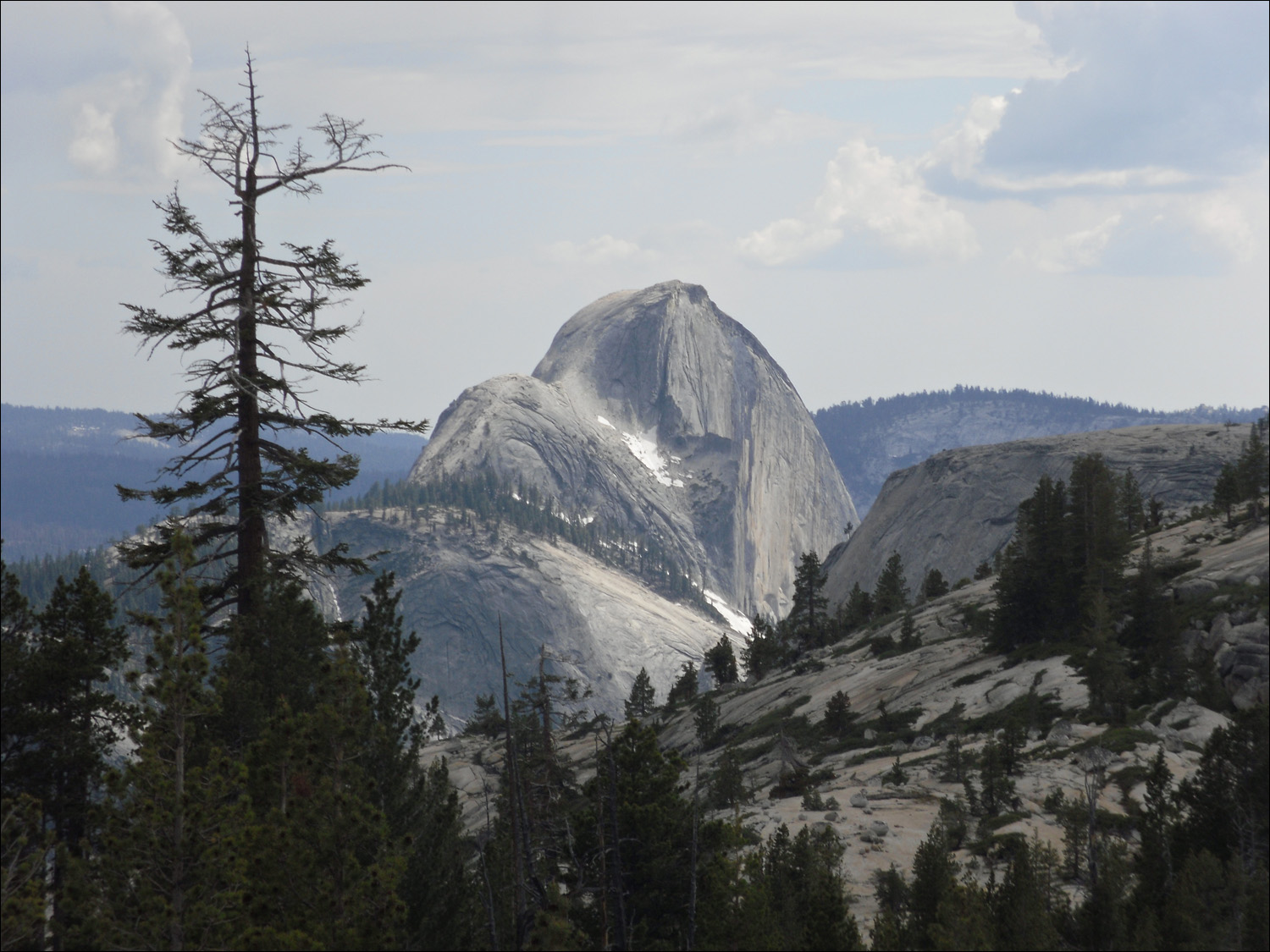 View of Half Dome from 120 just west of Tenaya Lake