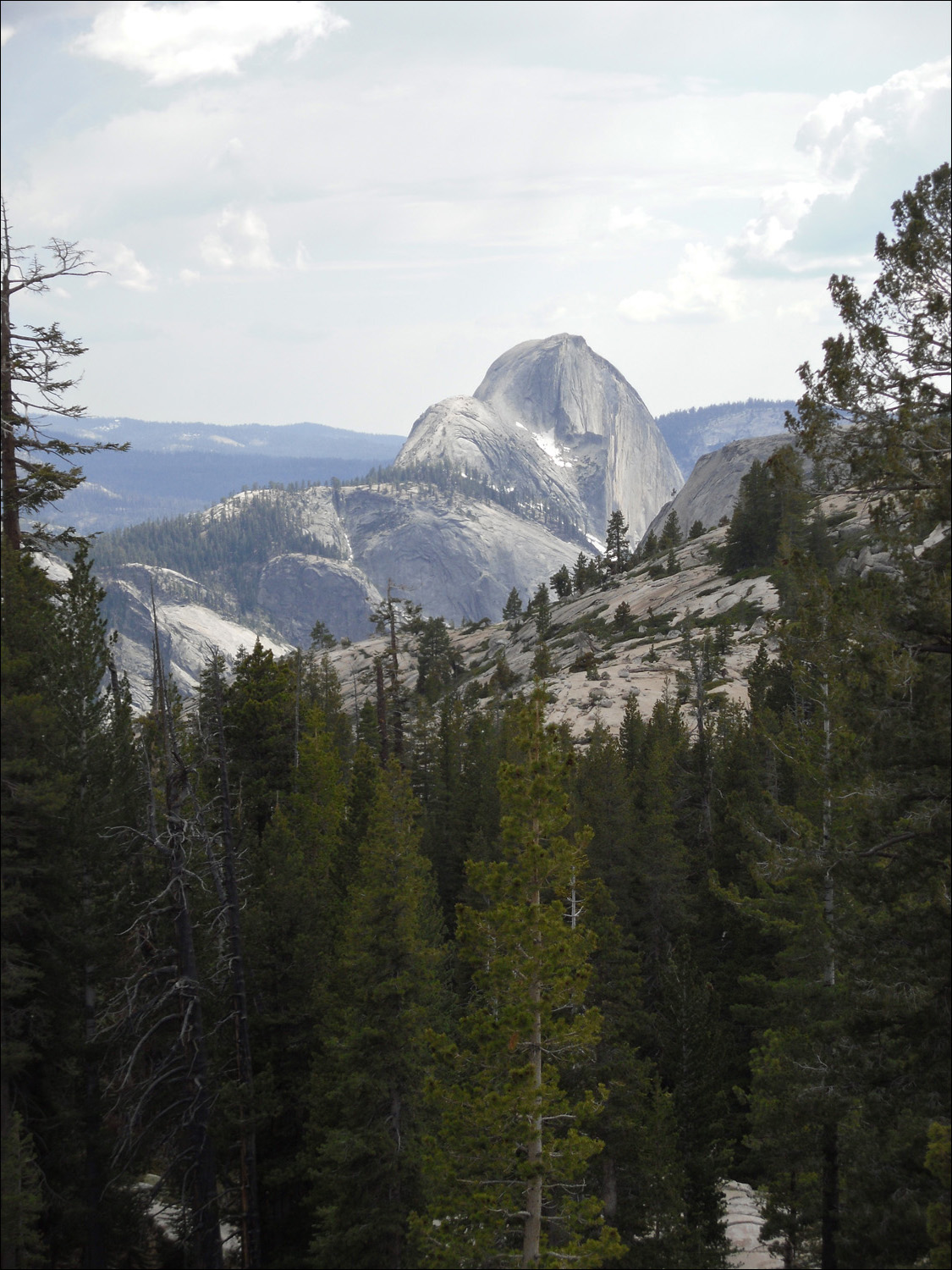 View of Half Dome from 120 just west of Tenaya Lake