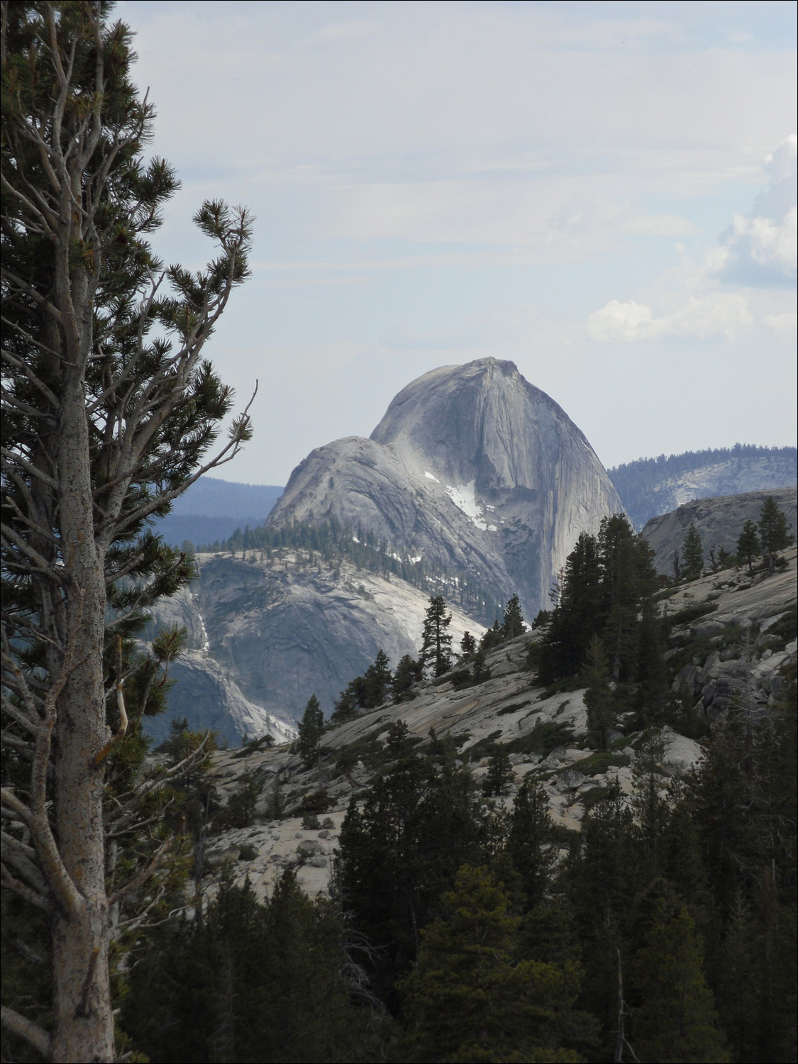 View of Half Dome from 120 just west of Tenaya Lake