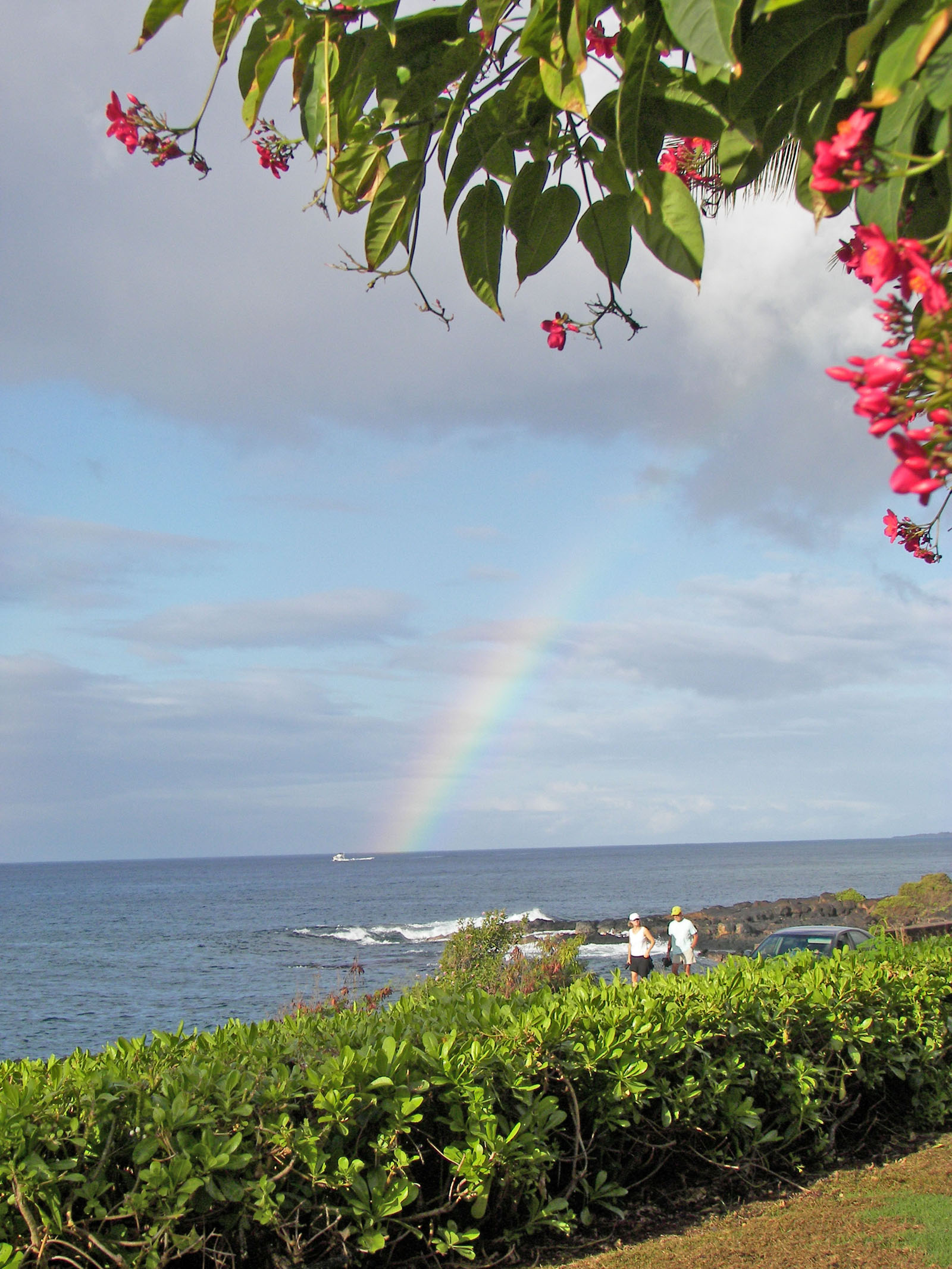 Hawaiian rainbow