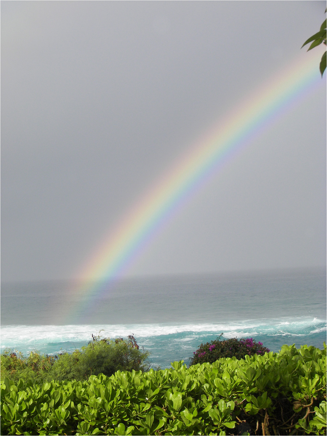 View of rainbow taken from the lanai