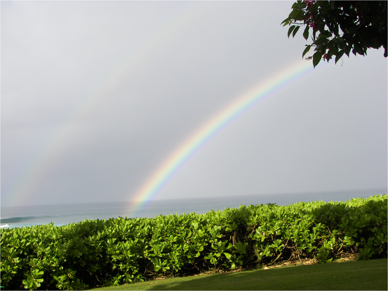 View of rainbow taken from the lanai
