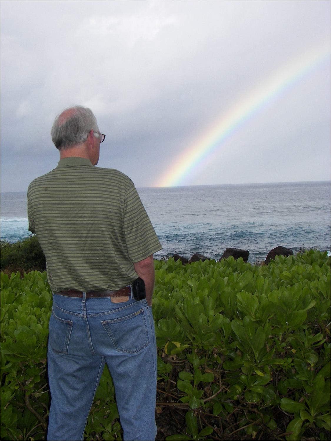 View of Uncle Pat taken from the lanai.