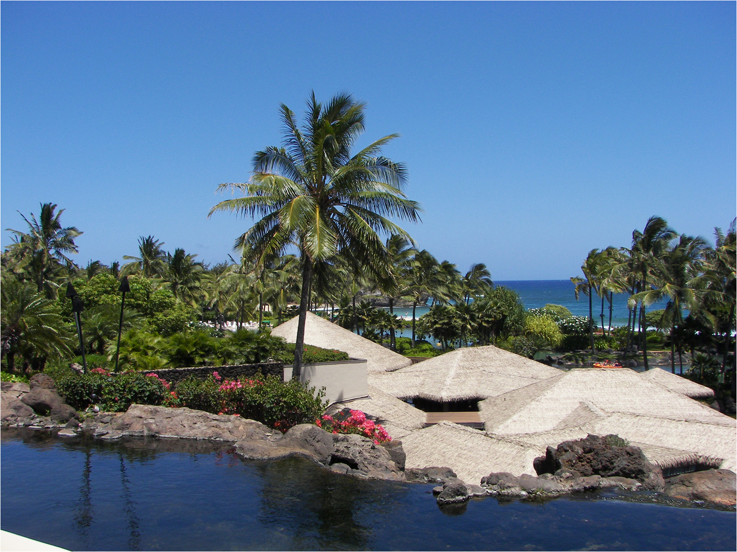 Looking out towards the ocean from the Grand Hyatt Kauai.