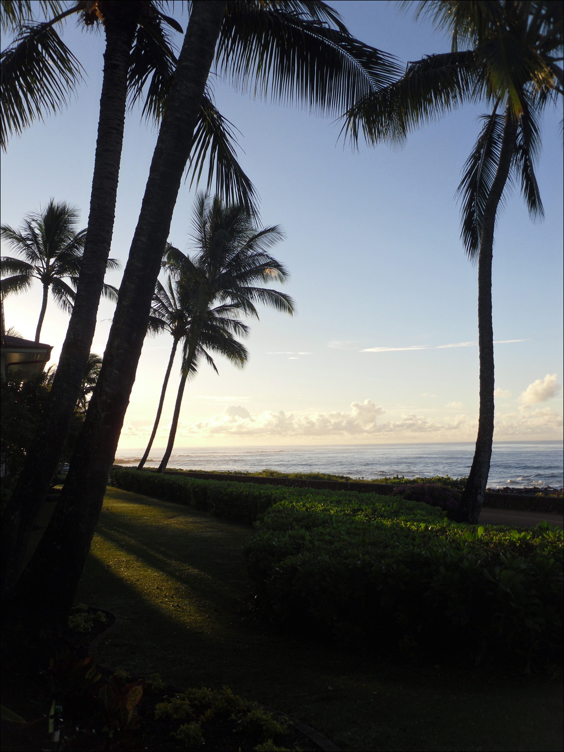 sunrise from lanai